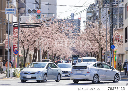名古屋市東區和泉飯田町十字路口，岡櫻的林蔭大道 76877413