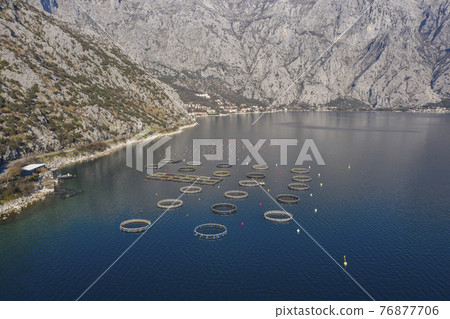 Aerial shoot of oysters, mussels and fish farming  76877706