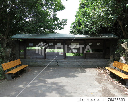 葛西臨海公園觀鳥中心岩岸上池(淡水池)側觀景窗 葛西臨海公園觀鳥中心岩岸上池(淡水池)側觀景窗 76877863