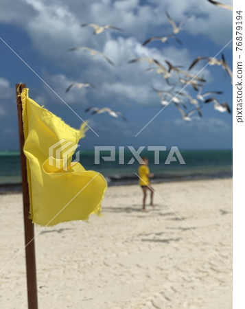 Yellow waving flag 76879194