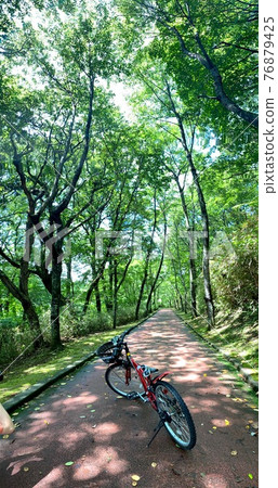 陽光森林和兒童自行車 76879425