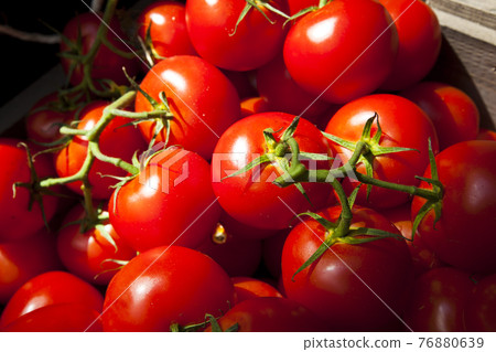 Close up of tomatoes Close up of tomatoes 76880639
