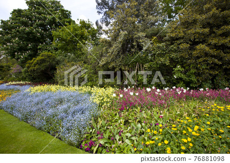 Large flower bed and trees 76881098