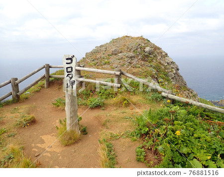 北海道禮文島4小時課程開普課程 76881516