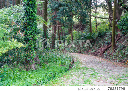 天然石砌成的舊東海道金谷坂石鋪路 76881796