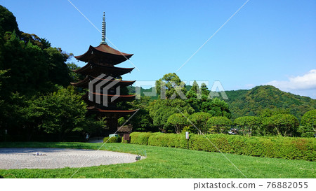 陽光明媚的新綠季節的五層寶塔(山口縣山口市) 陽光明媚的新綠季節的五層寶塔(山口縣山口市) 76882055