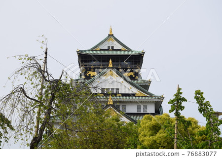 大阪城堡城堡塔 大阪城堡城堡塔 76883077