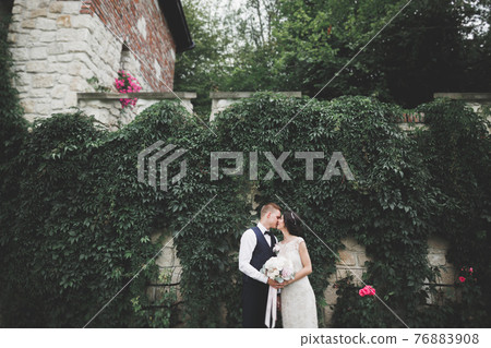 Happy wedding couple walking in a botanical park 76883908