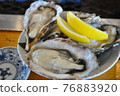 Oyster 76883920