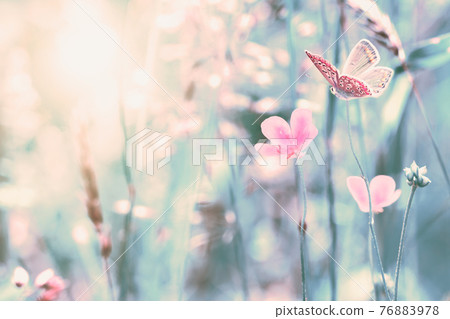 Shallow depth beautiful wildflowers, butterfly in the dreamy meadow. Delicate retro colors pastel toned. Macro background. Greeting card template. Copy space. Nature floral springtime Shallow depth beautiful wildflowers, butterfly in the dreamy meadow. Delicate retro colors pastel toned. Macro background. Greeting card template. Copy space. Nature floral springtime 76883978