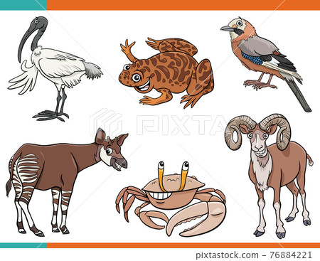 cartoon funny animals comic characters set cartoon funny animals comic characters set 76884221