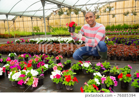 Portrait of male gardener with blooming flower who is taking care of them Portrait of male gardener with blooming flower who is taking care of them 76885394