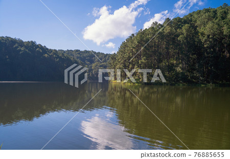 River lake with forest trees in Pang Ung reservoir, Mae Hong Son, Thailand. Tourist attraction, surrounded by green pine, mountains, reflection from water. River lake with forest trees in Pang Ung reservoir, Mae Hong Son, Thailand. Tourist attraction, surrounded by green pine, mountains, reflection from water. 76885655