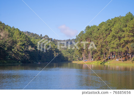 River lake with forest trees in Pang Ung reservoir, Mae Hong Son, Thailand. Tourist attraction, surrounded by green pine, mountains, reflection from water. River lake with forest trees in Pang Ung reservoir, Mae Hong Son, Thailand. Tourist attraction, surrounded by green pine, mountains, reflection from water. 76885656