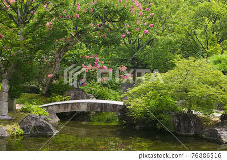 STOCK PHOTOGRAPHY IMAGES STOCK PHOTOGRAPHY IMAGES 76886516