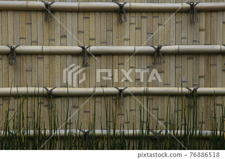 STOCK PHOTOGRAPHY IMAGES STOCK PHOTOGRAPHY IMAGES 76886518