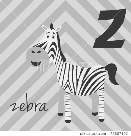 Cute cartoon zoo illustrated alphabet with funny animals: Z for Zebra. English alphabet. Learn to read. Isolated Vector illustration. Cute cartoon zoo illustrated alphabet with funny animals: Z for Zebra. English alphabet. Learn to read. Isolated Vector illustration. 76887192