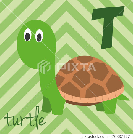Cute cartoon zoo illustrated alphabet with funny animals: T for Turtle. English alphabet. Learn to read. Isolated Vector illustration. Cute cartoon zoo illustrated alphabet with funny animals: T for Turtle. English alphabet. Learn to read. Isolated Vector illustration. 76887197