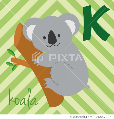 Cute cartoon zoo illustrated alphabet with funny animals: K for Koala. English alphabet. Learn to read. Isolated Vector illustration. Cute cartoon zoo illustrated alphabet with funny animals: K for Koala. English alphabet. Learn to read. Isolated Vector illustration. 76887208