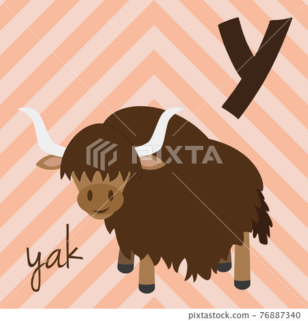 Cute cartoon zoo illustrated alphabet with funny animals. Spanish alphabet: Y for Yak. Learn to read. Isolated Vector illustration. Cute cartoon zoo illustrated alphabet with funny animals. Spanish alphabet: Y for Yak. Learn to read. Isolated Vector illustration. 76887340
