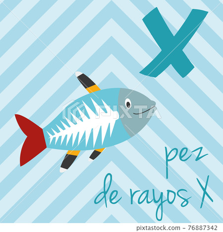 Cute cartoon zoo illustrated alphabet with funny animals. Spanish alphabet: X for Pez de Rayos X. Learn to read. Isolated Vector illustration. Cute cartoon zoo illustrated alphabet with funny animals. Spanish alphabet: X for Pez de Rayos X. Learn to read. Isolated Vector illustration. 76887342