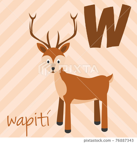Cute cartoon zoo illustrated alphabet with funny animals. Spanish alphabet: W for Wapiti. Learn to read. Isolated Vector illustration. Cute cartoon zoo illustrated alphabet with funny animals. Spanish alphabet: W for Wapiti. Learn to read. Isolated Vector illustration. 76887343