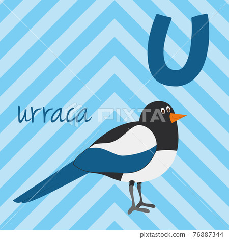 Cute cartoon zoo illustrated alphabet with funny animals. Spanish alphabet: U for Urraca. Learn to read. Isolated Vector illustration. Cute cartoon zoo illustrated alphabet with funny animals. Spanish alphabet: U for Urraca. Learn to read. Isolated Vector illustration. 76887344