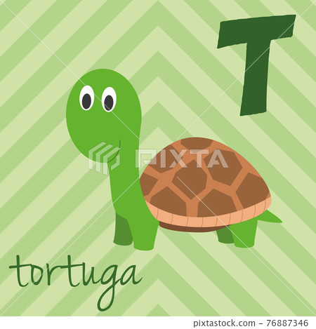 Cute cartoon zoo illustrated alphabet with funny animals. Spanish alphabet: T for Tortuga. Learn to read. Isolated Vector illustration. Cute cartoon zoo illustrated alphabet with funny animals. Spanish alphabet: T for Tortuga. Learn to read. Isolated Vector illustration. 76887346