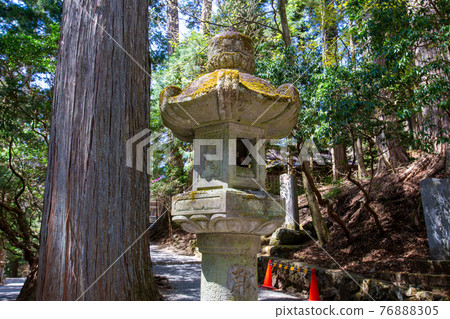 三峰神社內的托羅 三峰神社內的托羅 76888305