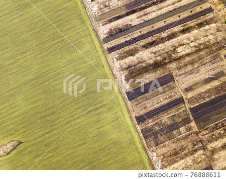 Agricultural landscape from air. Straight narrow ground road between sunny green, dry and brown plowed fields. 76888611