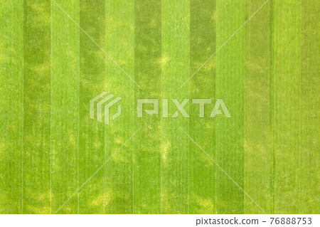 Close up aerial view of surface of green freshly cut grass on football stadium in summer. Close up aerial view of surface of green freshly cut grass on football stadium in summer. 76888753