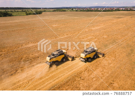 Aerial view of combine harvesters harvesting large yellow ripe wheat field. Aerial view of combine harvesters harvesting large yellow ripe wheat field. 76888757
