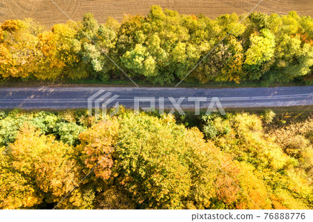 Aerial view of empty road between yellow fall trees. 76888776