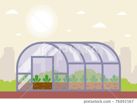 seedlings are planted in the greenhouse in spring. seedlings are planted in the greenhouse in spring. 76891567