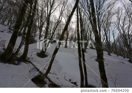 《Okayama Prefecture》 Winter season, Takashimizu Trail scenery 《Okayama Prefecture》 Winter season, Takashimizu Trail scenery 76894208