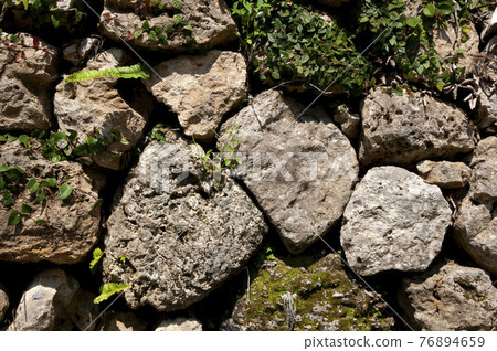 Ishigaki (fence) 76894659