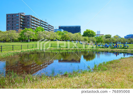 嫩葉上的鮮綠，照在水面上的風景，小城原公園，幼兒園的孩子 76895008