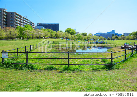 嫩葉上的鮮綠,照在水面上的風景,小城原公園,幼兒園的孩子 嫩葉上的鮮綠,照在水面上的風景,小城原公園,幼兒園的孩子 76895011