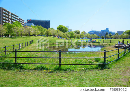 嫩葉上的鮮綠,照在水面上的風景,小城原公園,幼兒園的孩子 嫩葉上的鮮綠,照在水面上的風景,小城原公園,幼兒園的孩子 76895012