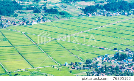 Summer countryside scenery Summer countryside scenery 76895193