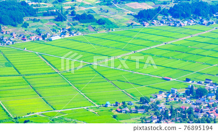 Summer countryside scenery Summer countryside scenery 76895194