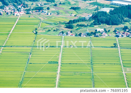 Summer countryside scenery Summer countryside scenery 76895195
