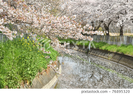 水沼場漫步:水沼替補水西緣 水沼場漫步:水沼替補水西緣 76895320