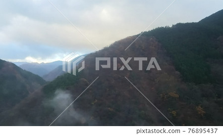 山 山 76895437
