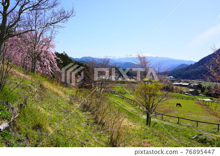 Sakura和Norikura dake Sakura和Norikura dake 76895447