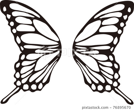 Butterfly feather color material 76895670