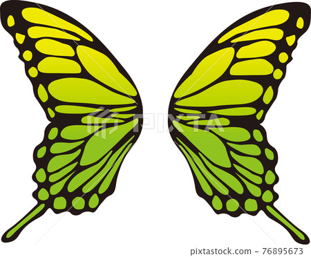 Butterfly feather color material Butterfly feather color material 76895673