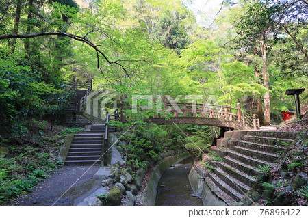 Salt River Falls and surrounding landscape 76896422