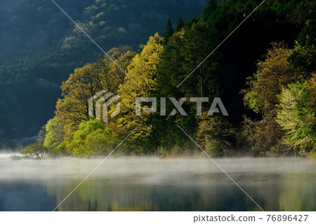 Murou Lake fog Murou Lake fog 76896427