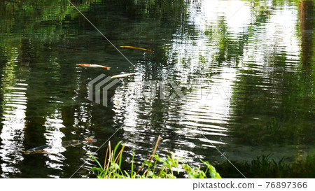 Aso Myojin Pond 76897366